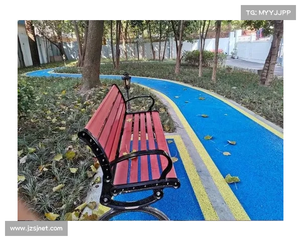 体育公园适老化改造项目铺设防滑步道增设康复器械提升老年人健身体验 体育公园适老化改造项目铺设防滑步道增设康复器械提升老年人健身体验